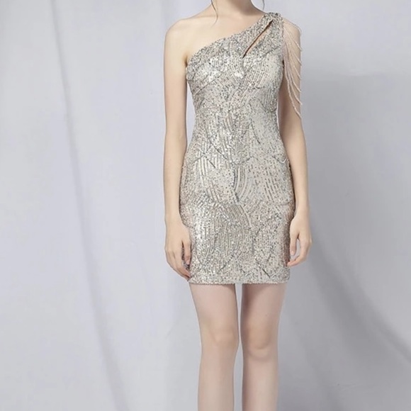 NWT One Shoulder Sequins Nude Dress - Picture 5 of 10